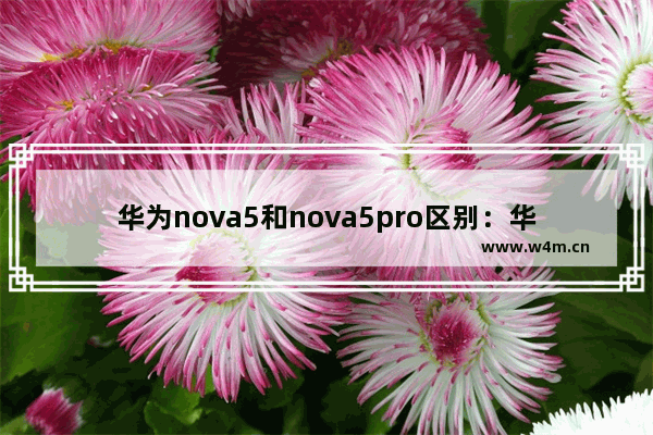 华为nova5和nova5pro区别：华为nova5和nova5pro区别是怎么样的呢?