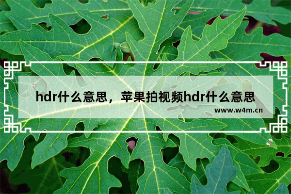 hdr什么意思，苹果拍视频hdr什么意思