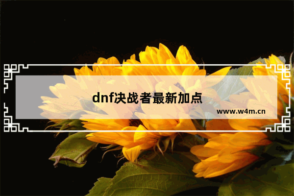 dnf决战者最新加点