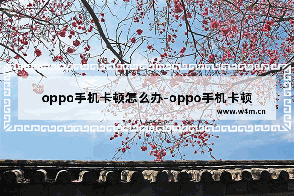 oppo手机卡顿怎么办-oppo手机卡顿怎么办教你1个方法