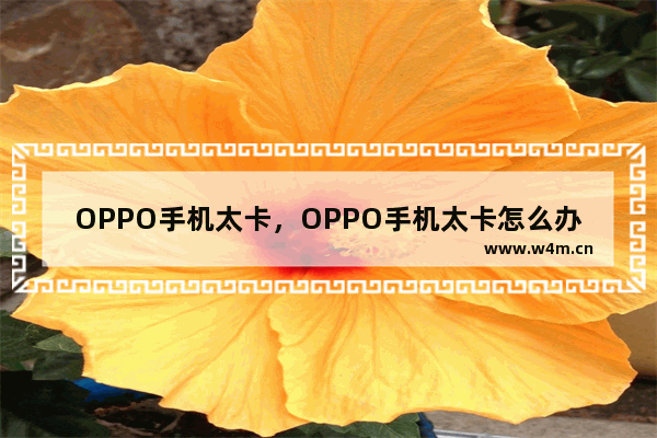 OPPO手机太卡，OPPO手机太卡怎么办不是储存太满的问题