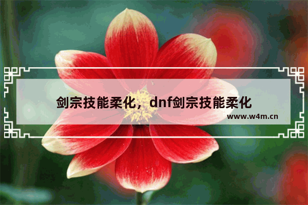 剑宗技能柔化，dnf剑宗技能柔化