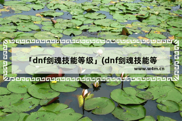 「dnf剑魂技能等级」(dnf剑魂技能等级表)