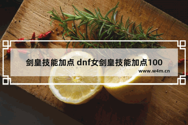 剑皇技能加点 dnf女剑皇技能加点100