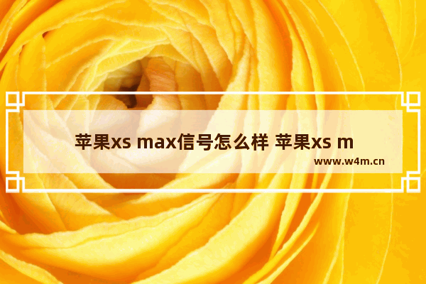 苹果xs max信号怎么样 苹果xs max信号怎么样?