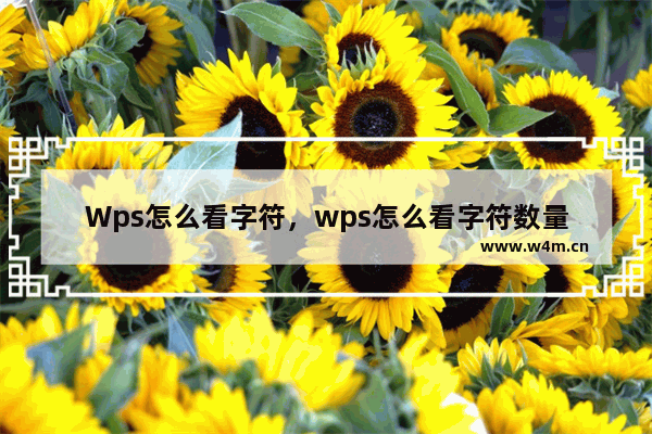 Wps怎么看字符，wps怎么看字符数量