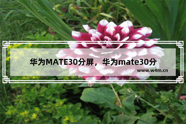 华为MATE30分屏，华为mate30分屏功能不见了