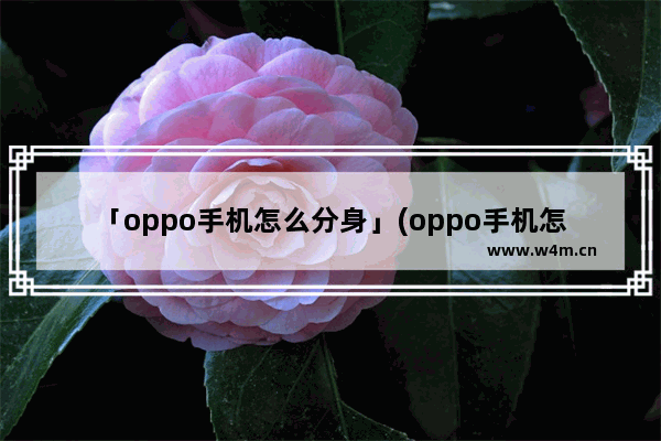 「oppo手机怎么分身」(oppo手机怎么分身两个微信)