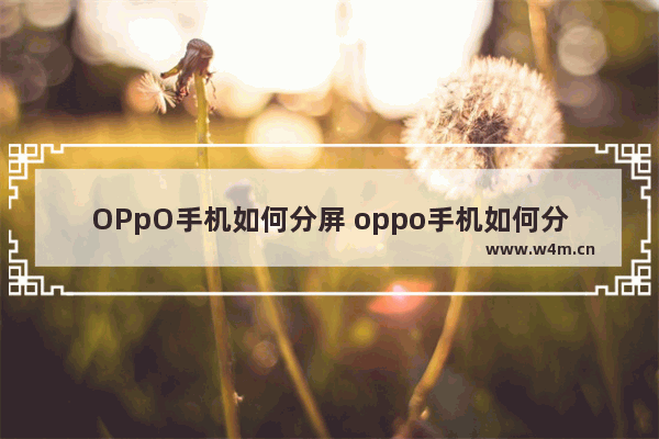 OPpO手机如何分屏 oppo手机如何分屏操作方法