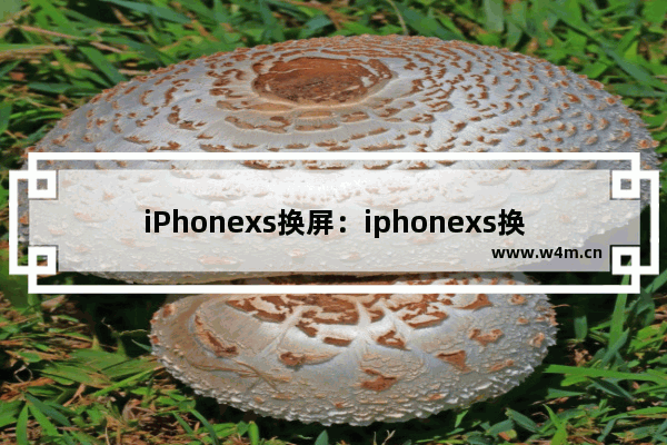 iPhonexs换屏：iphonexs换屏幕总成教程