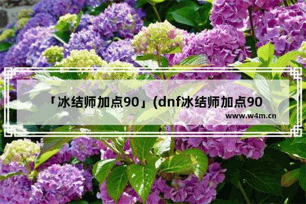 「冰结师加点90」(dnf冰结师加点90)