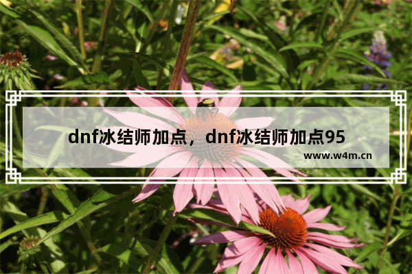 dnf冰结师加点，dnf冰结师加点95