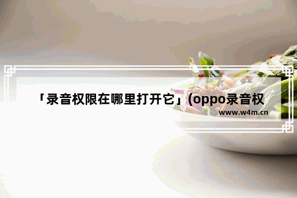 「录音权限在哪里打开它」(oppo录音权限在哪里打开它)