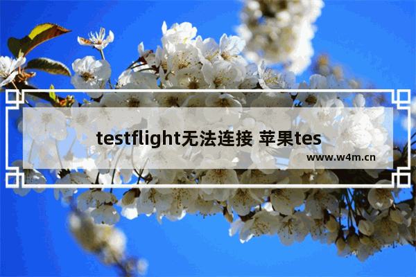 testflight无法连接 苹果testflight无法连接appstore