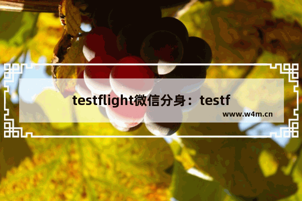 testflight微信分身：testflight微信分身链接