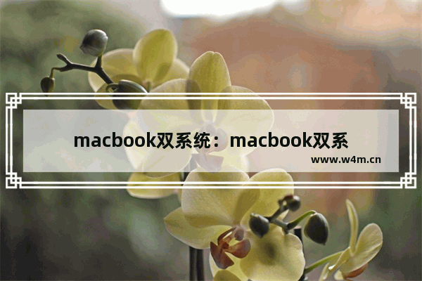 macbook双系统：macbook双系统设置默认系统