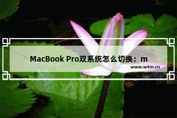 MacBook Pro双系统怎么切换：macbook pro双系统怎么切换系统