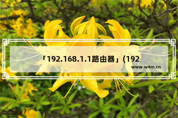 「192.168.1.1路由器」(192.168.1.1路由器管理页面)