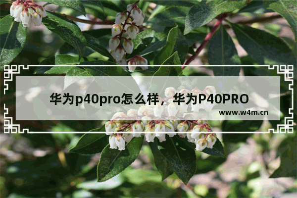 华为p40pro怎么样，华为P40PRO怎么样换屏内按压解锁样式