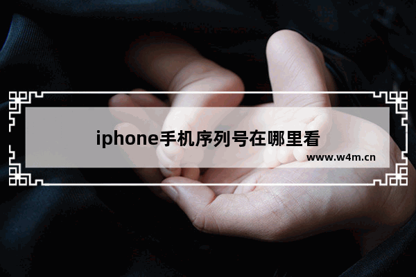 iphone手机序列号在哪里看