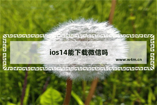 ios14能下载微信吗