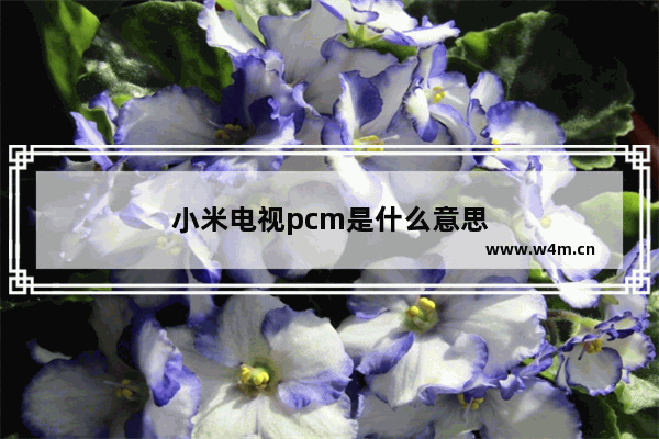 小米电视pcm是什么意思