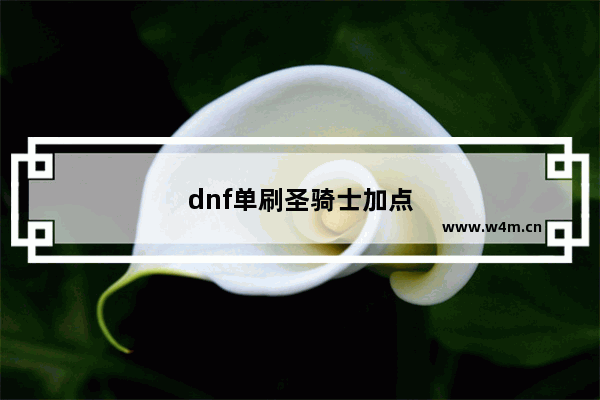 dnf单刷圣骑士加点