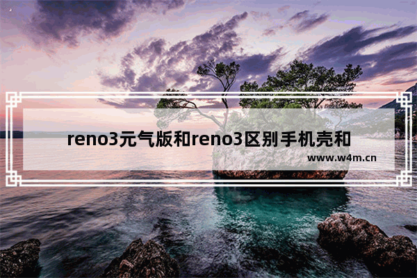 reno3元气版和reno3区别手机壳和贴膜通用吗?