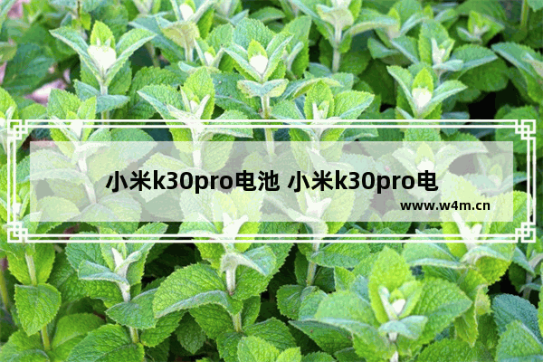 小米k30pro电池 小米k30pro电池容量