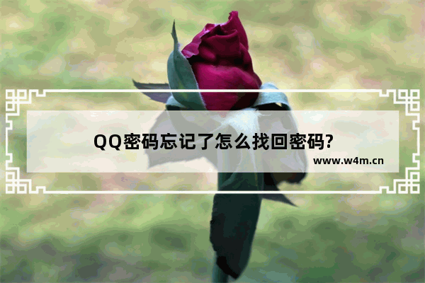 QQ密码忘记了怎么找回密码?