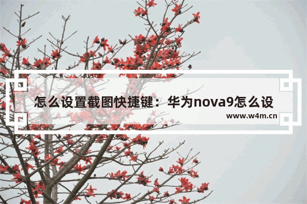 怎么设置截图快捷键：华为nova9怎么设置截图快捷键