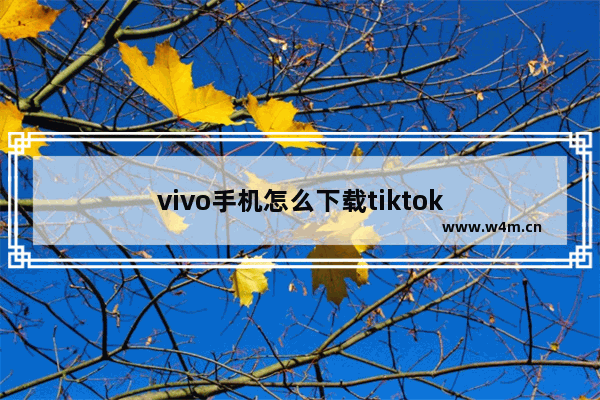 vivo手机怎么下载tiktok