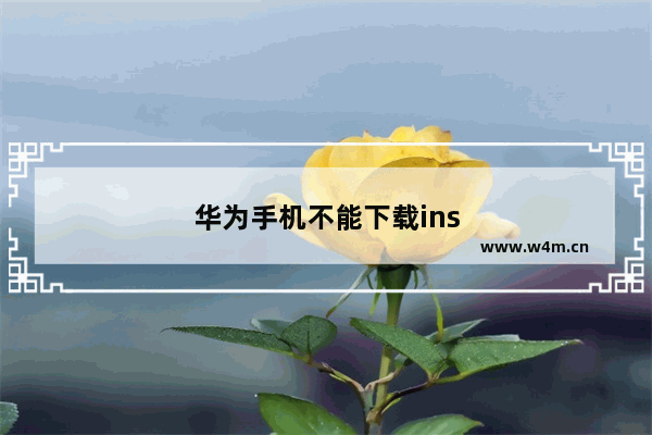 华为手机不能下载ins