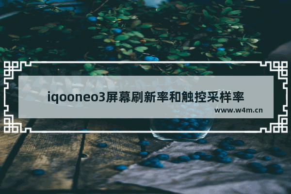 iqooneo3屏幕刷新率和触控采样率