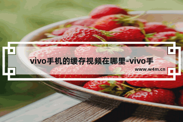 vivo手机的缓存视频在哪里-vivo手机的缓存视频在哪里可以找到