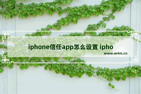 iphone信任app怎么设置 iphone信任app怎么设置11