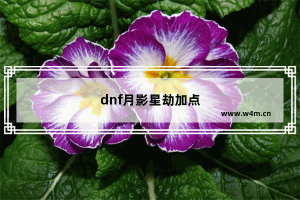 dnf月影星劫加点