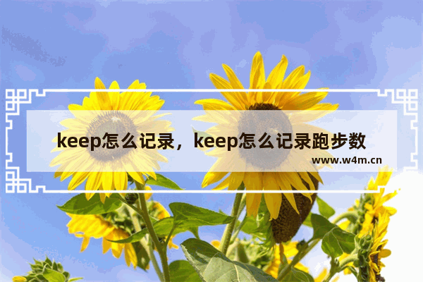 keep怎么记录，keep怎么记录跑步数据苹果