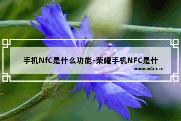 手机NfC是什么功能-荣耀手机NFC是什么功能