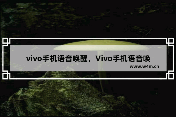 vivo手机语音唤醒，Vivo手机语音唤醒怎么说