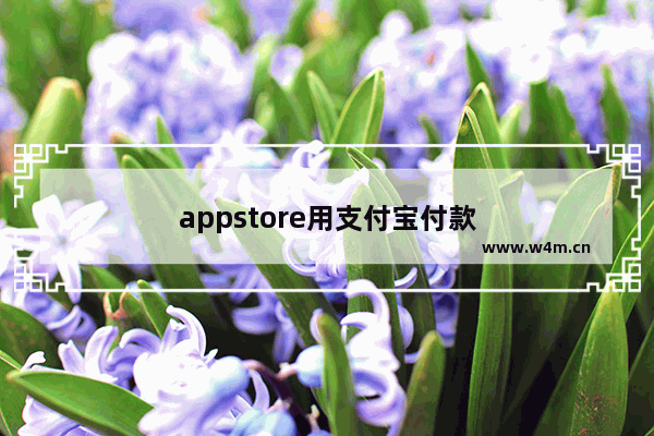 appstore用支付宝付款