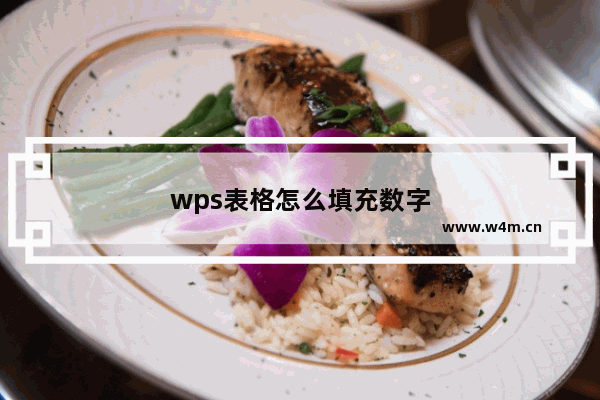 wps表格怎么填充数字