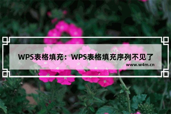 WPS表格填充：WPS表格填充序列不见了