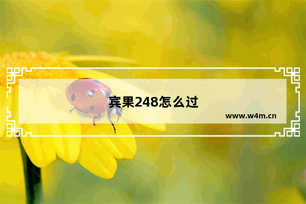 宾果248怎么过