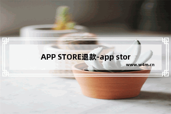 APP STORE退款-app store退款成功率高吗