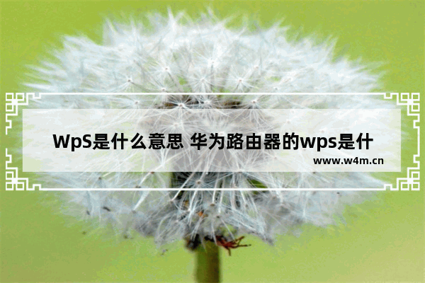 WpS是什么意思 华为路由器的wps是什么意思E