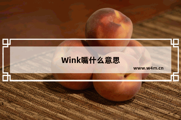 Wink嘴什么意思