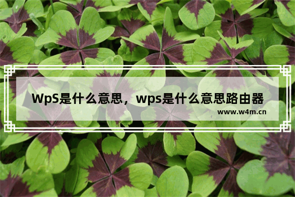 WpS是什么意思，wps是什么意思路由器上的wps怎么用