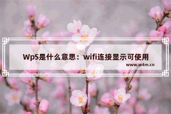 WpS是什么意思：wifi连接显示可使用wps是什么意思