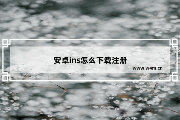 安卓ins怎么下载注册